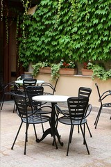 Lovely patio with green wall of ivy invites to rest