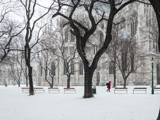 the last snow this winter