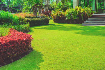 Green lawn, The front lawn for background, Garden landscape design