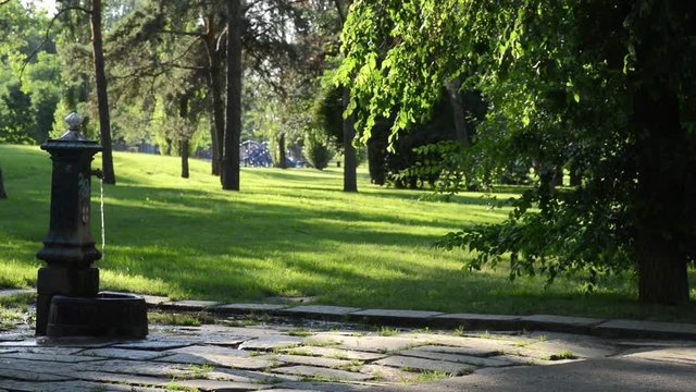 fontanella al parco in una giornata estiva cinemagraphs