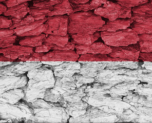 Texture of Monaco flag on a decorative tree bark.