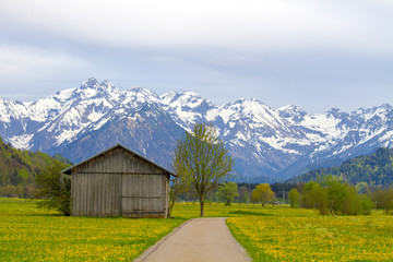 Allgäu - Frühling - Stadel - Alpen - Wiese - Berge