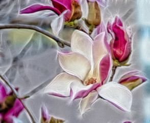 Magnolia with fractals