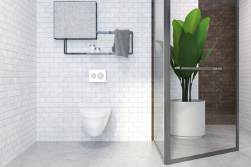 Lavatory interior, white toilet