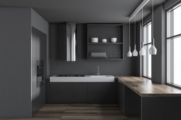 Gray minimalist kitchen interior