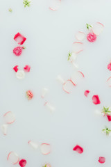top view of beautiful pink roses and petals in milk background