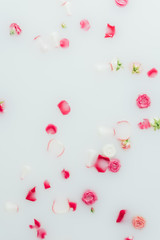 top view of beautiful pink roses and petals in milk background