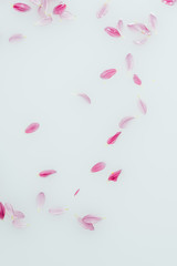 top view of arranged pink and lilac flower petals in milk