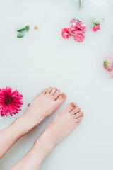 Obraz na płótnie Canvas partial view of female feet and beautiful colorful flowers in milk