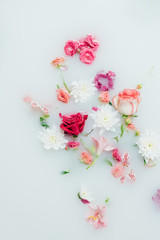 top view of various beautiful colorful flowers in milk background