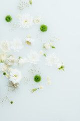 top view of beautiful white and green chrysanthemum flowers and gypsophila in milk