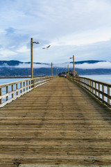 Wide wooden deck leading out into the ocean