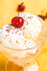 Homemade ice cream