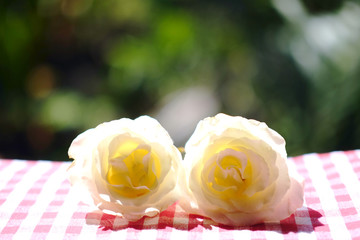 White roses on red checkered tablecloth in nature garden background.Use for Valentine day and holiday concept.Copy space.