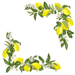 Set of corner square frame template with citrus lemon flower and fruits