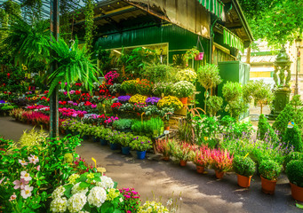 Paris flower market