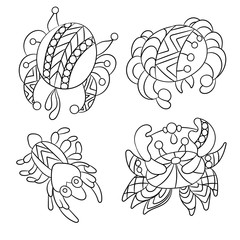 Coloring page with sea and ocean animals suh as crab and shrimp in vector