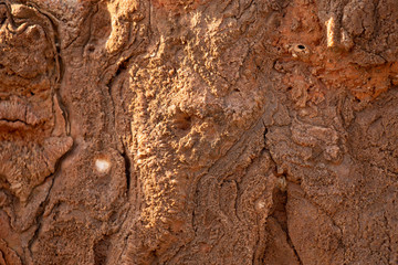 The texture of the ancient stone