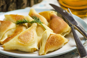 triangles with meat