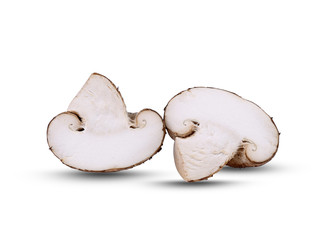 Fresh Shiitake mushroom isolated on white background