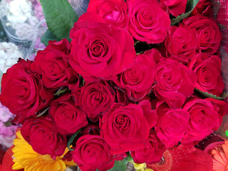 roses,flowers,