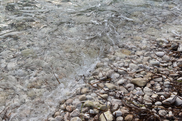 shore with stones