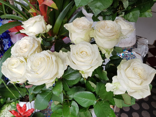 Fototapeta na wymiar roses,flowers,