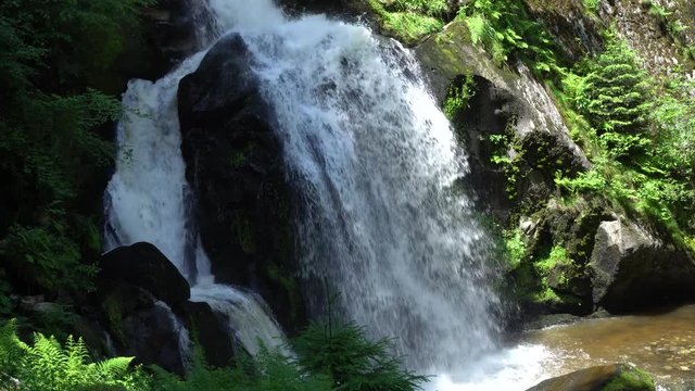 Triberger Wasserf&auml;lle 010