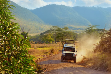 african jeep safari - obrazy, fototapety, plakaty