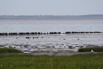 Wattenmeer
