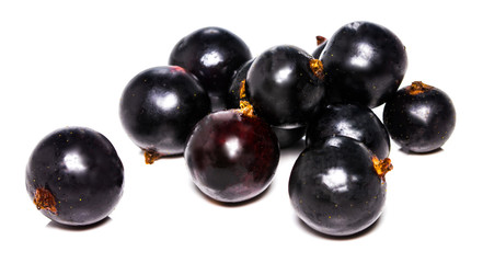 black currant  isolated on white background. With clipping path