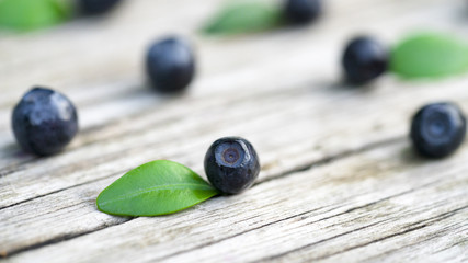 .blueberries on a wooden background