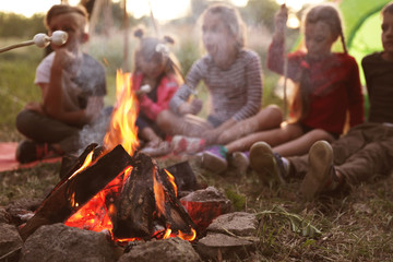 Little children frying marshmallows on bonfire. Summer camp - obrazy, fototapety, plakaty