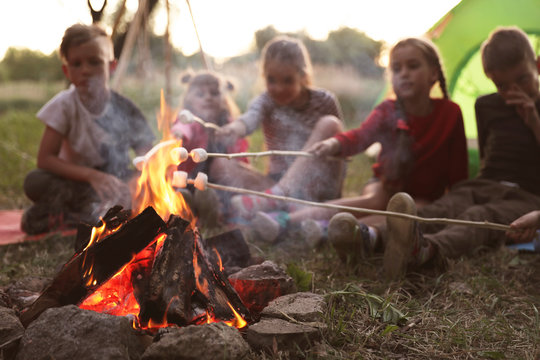 Little children frying marshmallows on bonfire. Summer camp