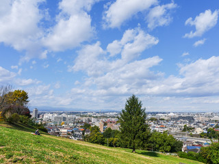 Fototapeta na wymiar 丘から眺める住宅街