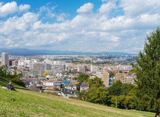Obraz premium 東京郊外の住宅街