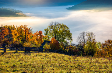 autumn countryside with valley full of thick fog. gorgeous scenery at sunrise in mountainous area....