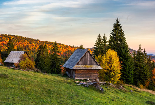 abandoned woodshed in forest. beautiful autumn landscape of Apuseni mountains. lovely nature scenery at sunset