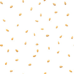Sesame seeds isolated seamless