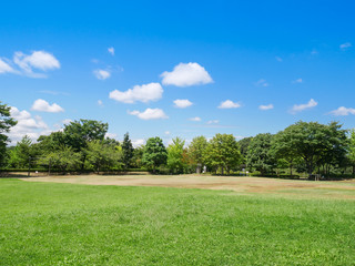 青空が広がる住宅街の公園