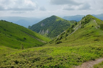 Naklejka premium Finding freedom in the mountains. Ciucas Mountains in Romania.