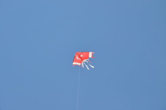  Kite