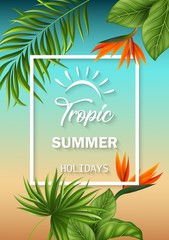 Summer background with jungle plants
