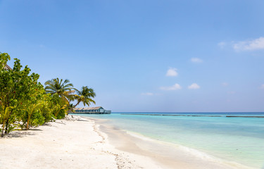Fototapeta na wymiar Unique beauty of blue lagoon in Maldives