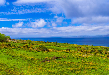 Beautiful nature and greens at Dingle Peninsula Ireland