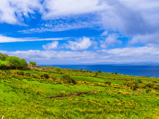 Fototapeta na wymiar Beautiful nature and greens at Dingle Peninsula Ireland
