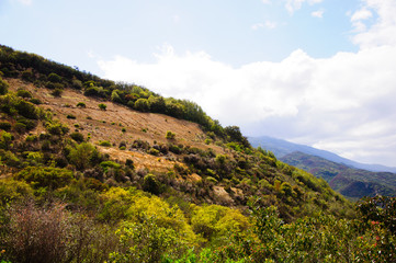 Obraz premium old house in medieval village in california