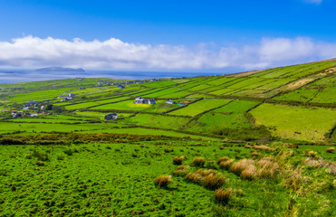 The green hills of Ireland - typical view on Dingle peninsula