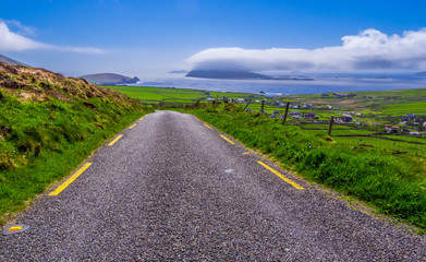 Beautiful nature and greens at Dingle Peninsula Ireland