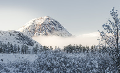 Scottish Winer Mountain